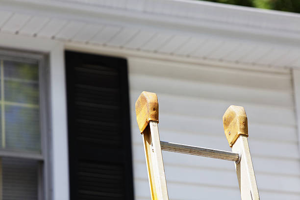 Best Siding Painting and Refinishing  in Lineville, AL